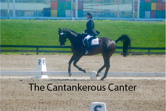The Cantankerous Canter
