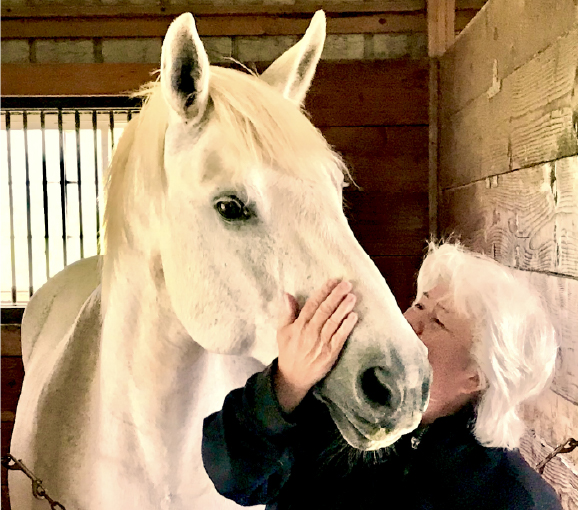 Writing and Filming Horses Takes Knowledge