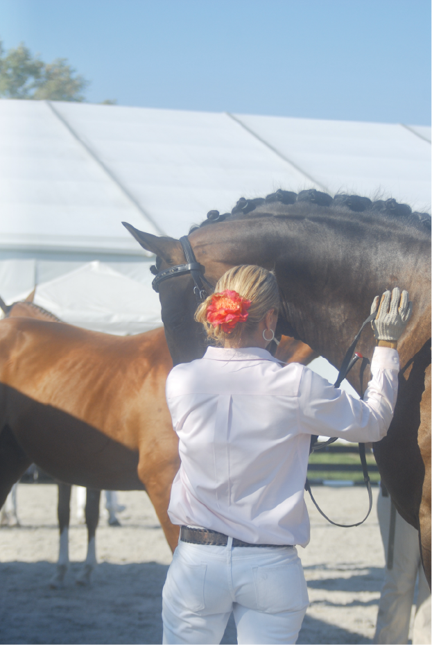 Your Horse. My Problem.