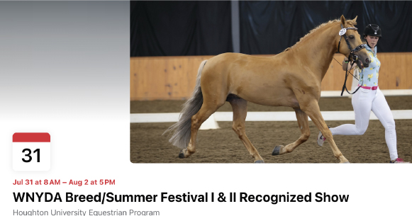 WNYD Summer Festival