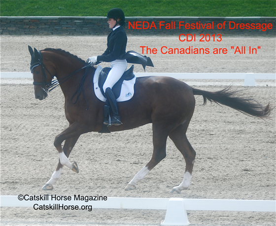 NEDA Fall Festival 2013