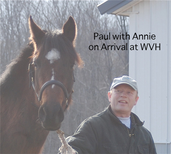 The Life and Times of Annie ~ A Thoroughbred’s Second Chance By Nikki Alvin-Smith