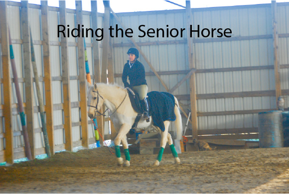 Riding the Senior Horse