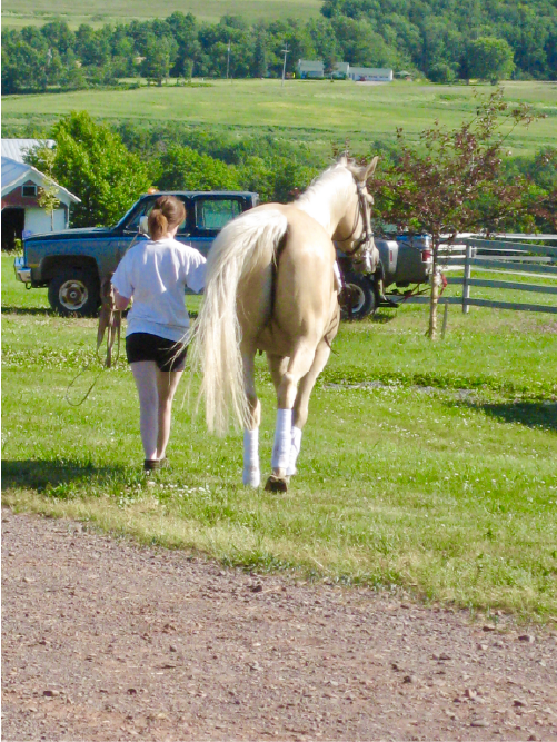 The Reasons Barn Staff Leave