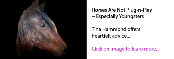 Horses Are Not Plug-n-Play ~ Especially Youngsters