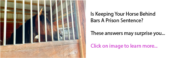 Is Keeping Your Horse Behind Bars A Prison Sentence?